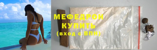 индика Богородицк