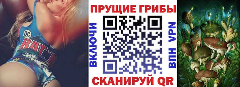 Псилоцибиновые грибы Cubensis  Полтавская 